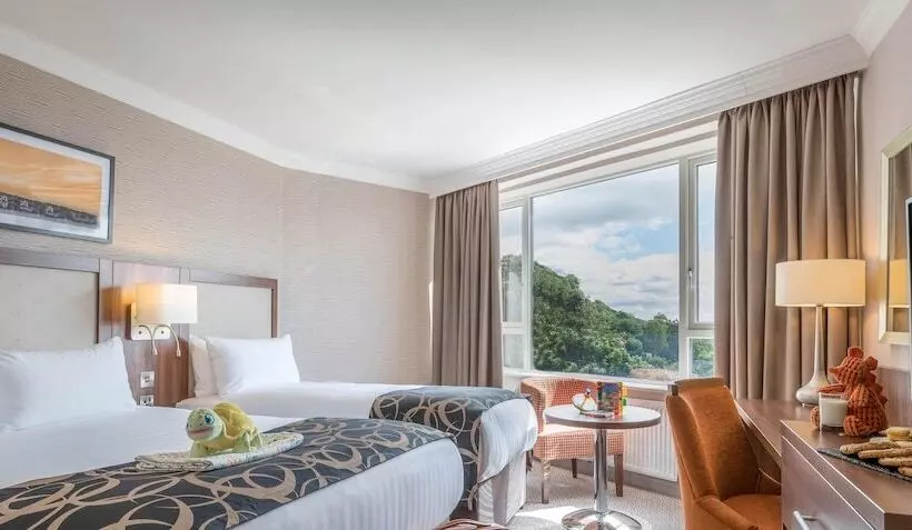 デラックスルーム, Clayton Hotel Silver Springs