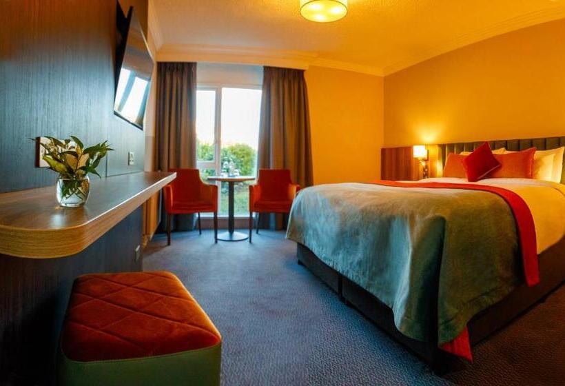 غرفة قياسية سرير كينج, Greenhills Hotel Limerick
