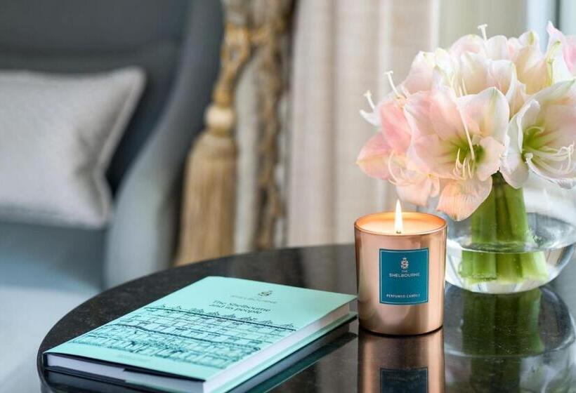 اتاق استاندارد با تخت بزرگ, The Shelbourne, Autograph Collection