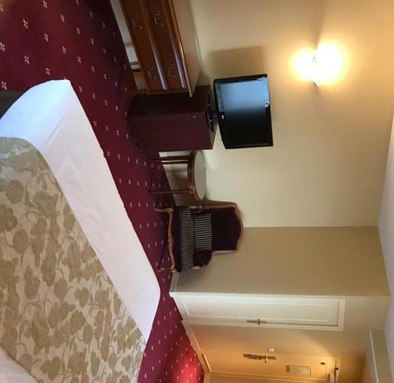 חדר סטנדרט, Château De Sancy