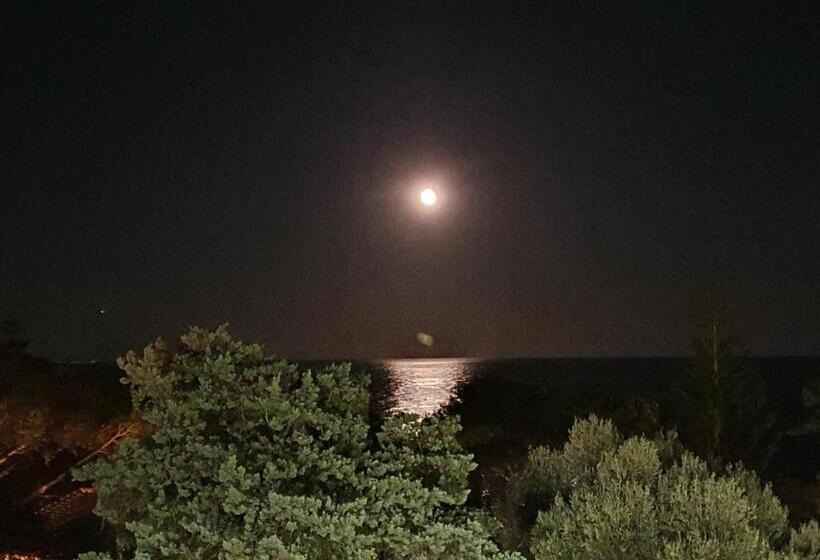 اتاق استاندارد با چشم‌انداز دریا, Cyrnea