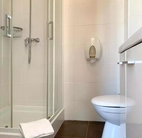 スタンダードシングルルーム, Hôtel De France