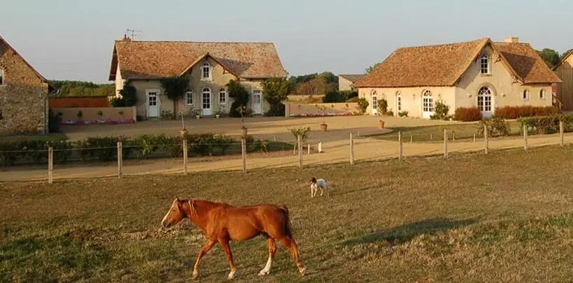 ４ベッドルームハウス, Hôtel Haras De La Potardière