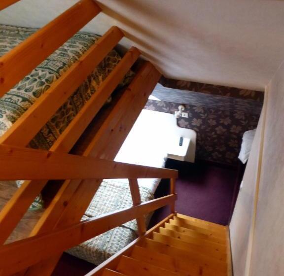 家庭间, De France