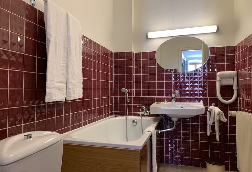 标准单人间, Logis Cit Hôtel Des Vosges 5 Rue De La Gare