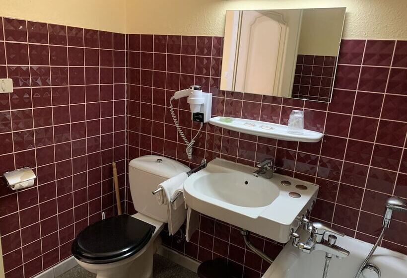 标准间, Logis Cit Hôtel Des Vosges 5 Rue De La Gare