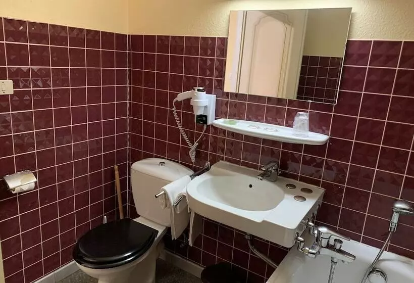 اتاق استاندارد, Logis Cit Hôtel Des Vosges 5 Rue De La Gare