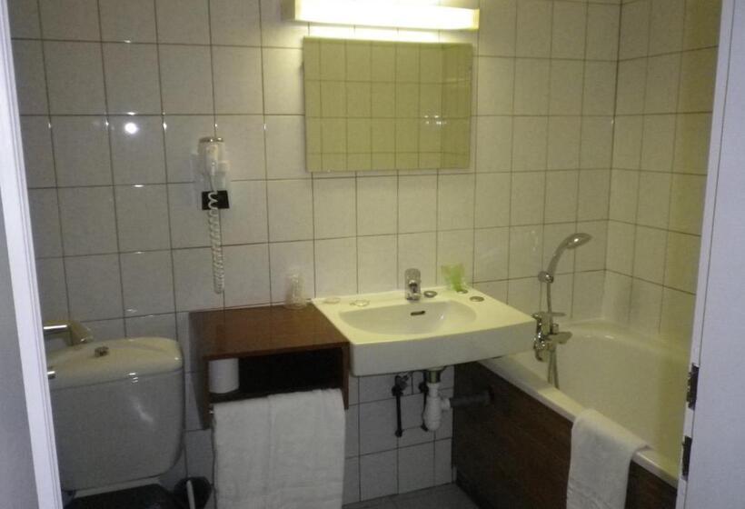 Номер Стандарт Индивидуальный, Logis Cit Hôtel Des Vosges 5 Rue De La Gare