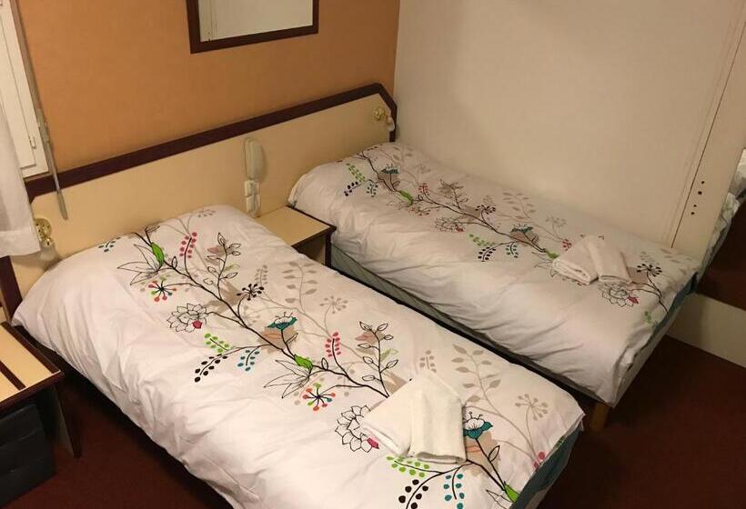 带城市景观的高级房间, Hôtel Myosotis