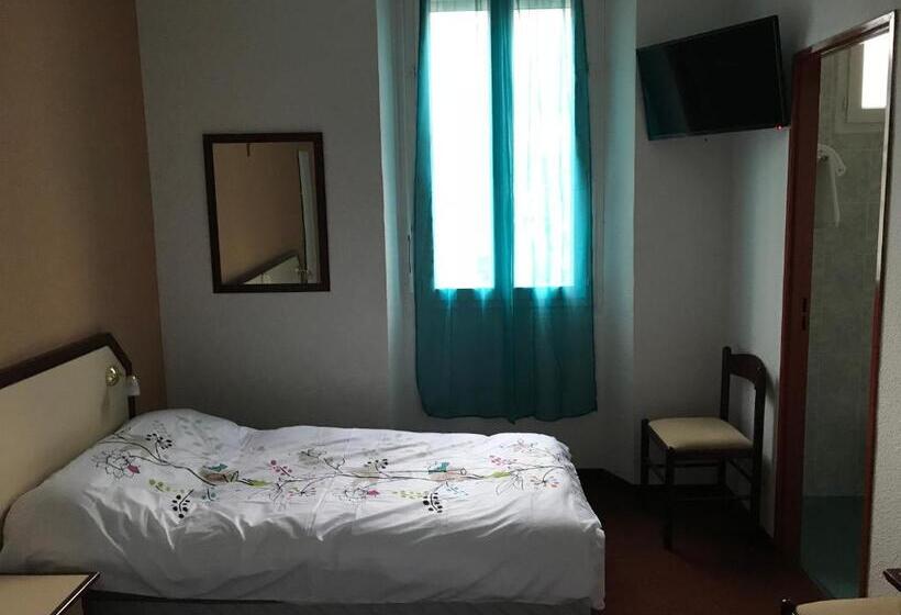 带城市景观的高级房间, Hôtel Myosotis