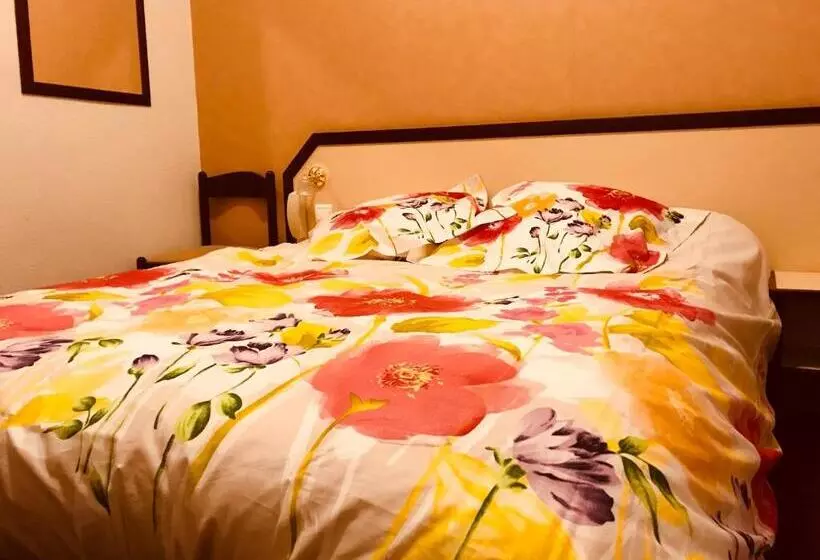 Camera Standard, Hôtel Myosotis