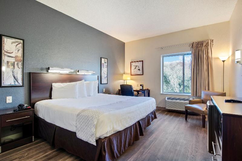 스탠다드 전망 룸, Holiday Inn Suva, An Ihg