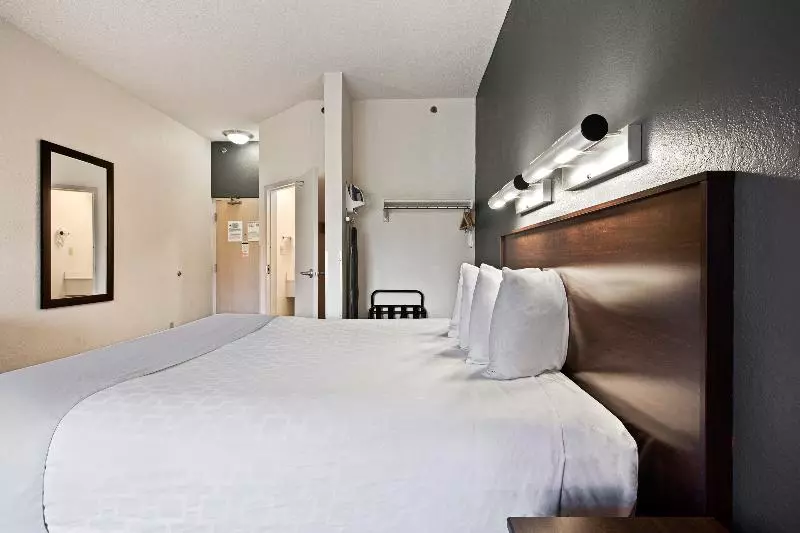 シングルデラックスルーム, Holiday Inn Suva, An Ihg