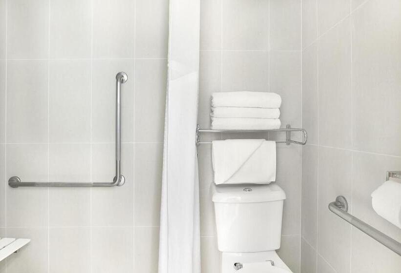 장애인을 위한 퀸사이즈 스탠다드 룸, Holiday Inn Suva, An Ihg