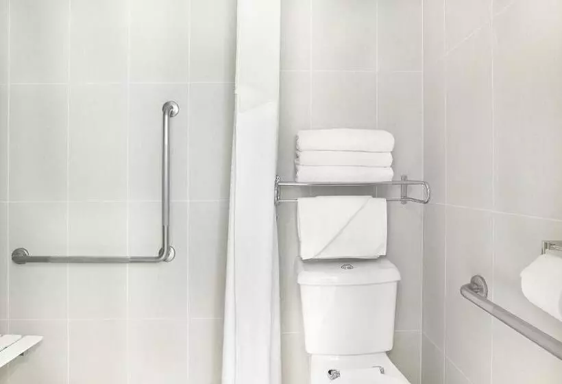 身障者適用クイーンサイズベッドルーム, Holiday Inn Suva, An Ihg