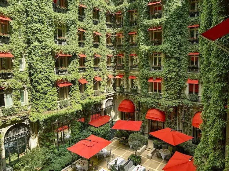 ジュニアスイート, Plaza Athenee  Dorchester Collection