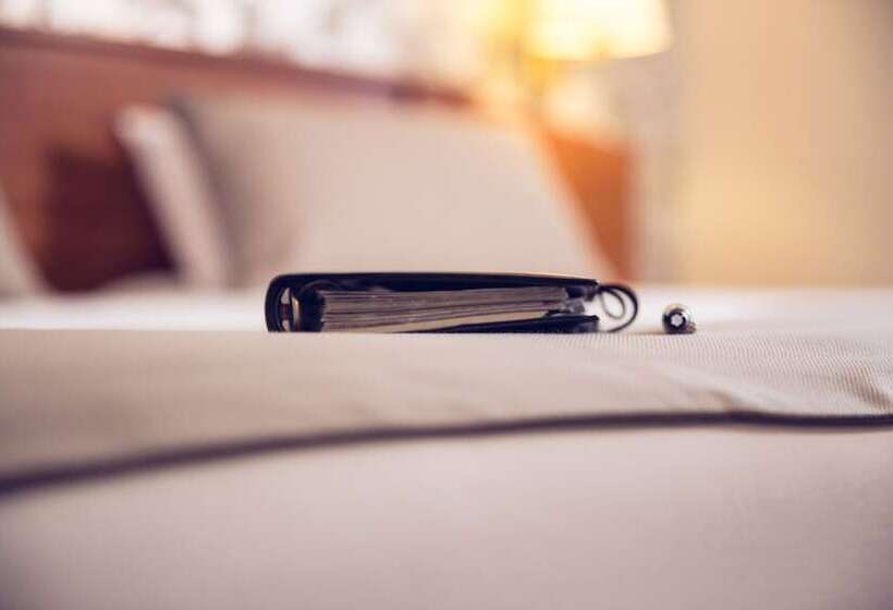 اتاق راحتی, Timhotel Le Louvre