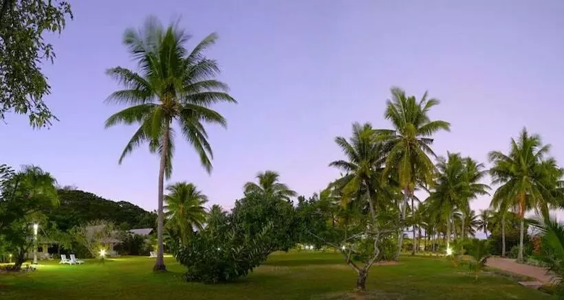 بانگلوی استاندارد, Musket Cove Island Resort