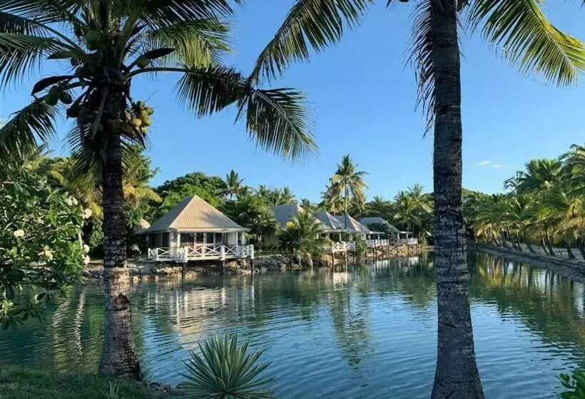 بانگلوی استاندارد, Musket Cove Island Resort