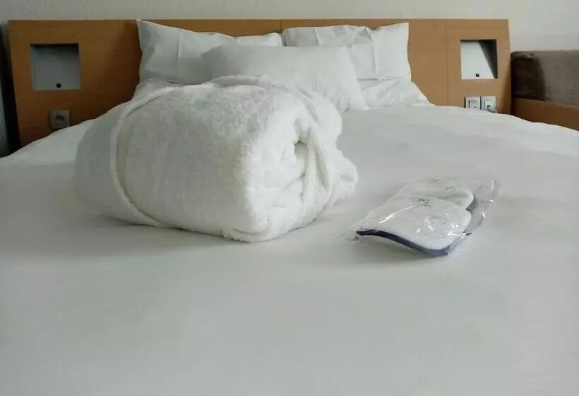 Executive-huone, Novotel Mulhouse Bale Fribourg