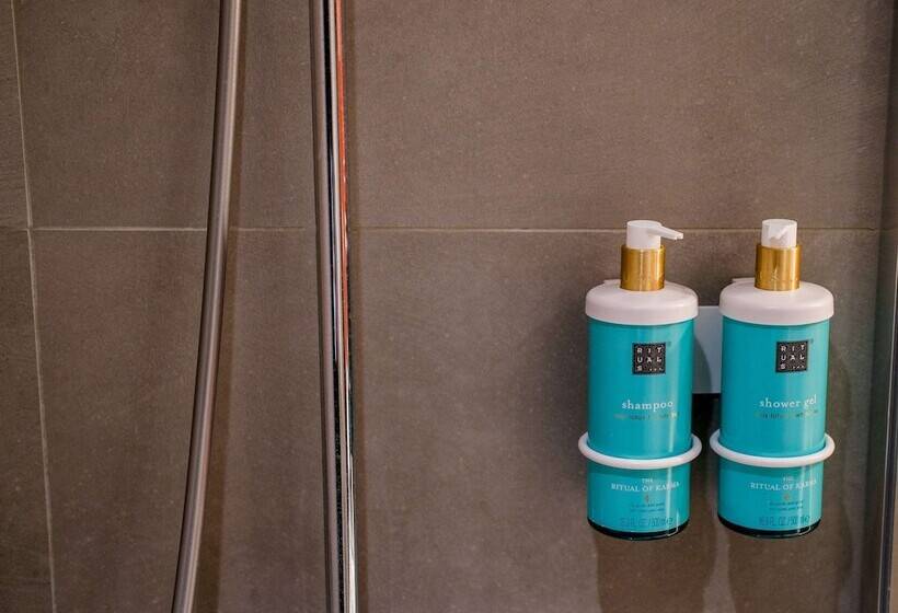 エクゼクティブルーム, Novotel Orléans Chemins De Sologne Demeures De Campagne