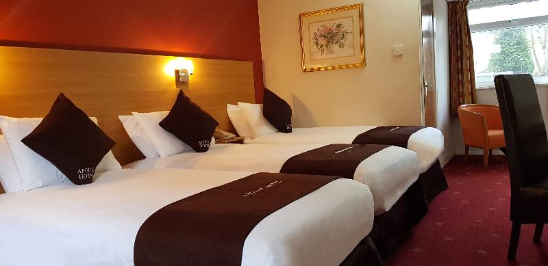 스탠다드 트리플 룸, Apollo