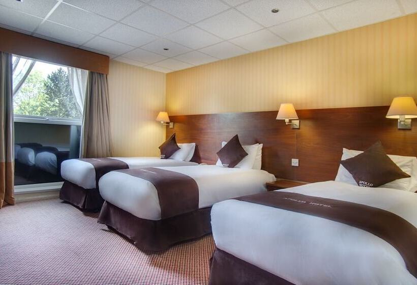 수피리어 트리플 룸, Apollo