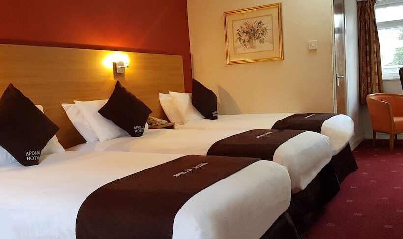 스탠다드 트리플 룸, Apollo