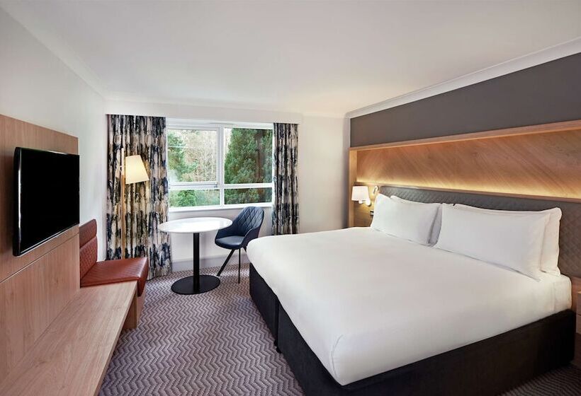 Номер Стандарт Двуспальная Кровать, Hilton Cobham
