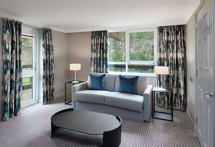 סוויטת ג'וניור מיטת קינג, Hilton Cobham