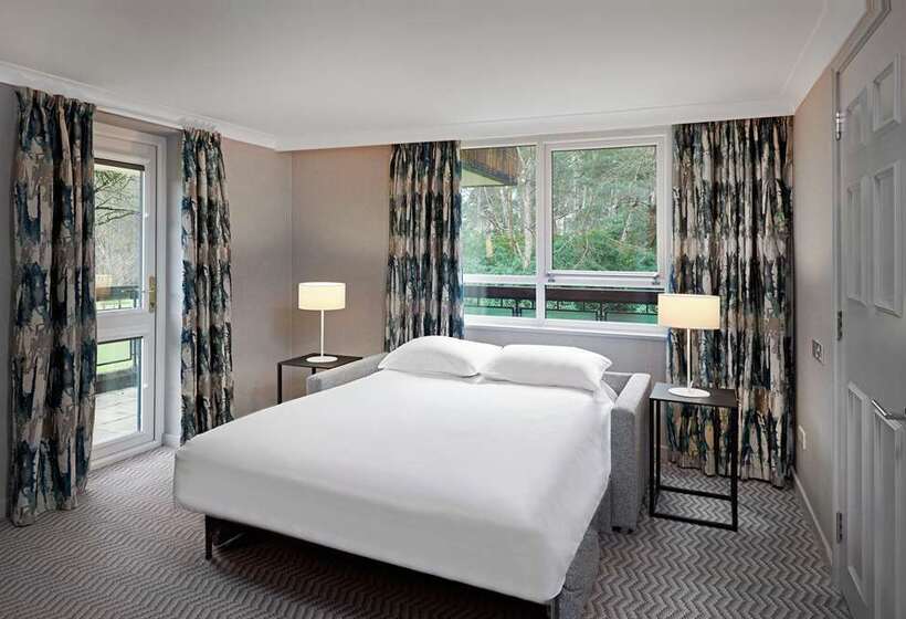 סוויטת ג'וניור מיטת קינג, Hilton Cobham