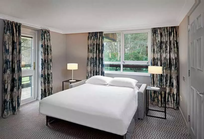 Junior Suite Lit King Size, Hilton Cobham