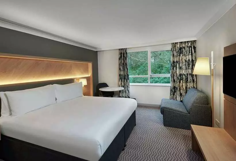Chambre Executive Lit King Size, Hilton Cobham