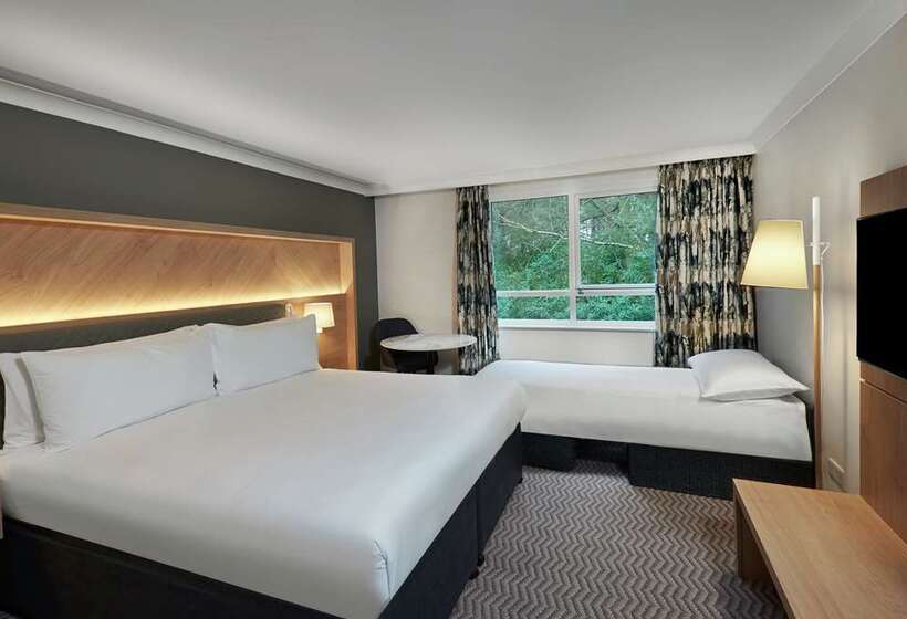 חדר אקזקיוטיב חדר קינג, Hilton Cobham