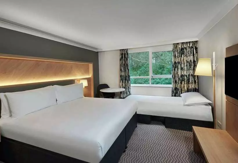 Chambre Executive Lit King Size, Hilton Cobham