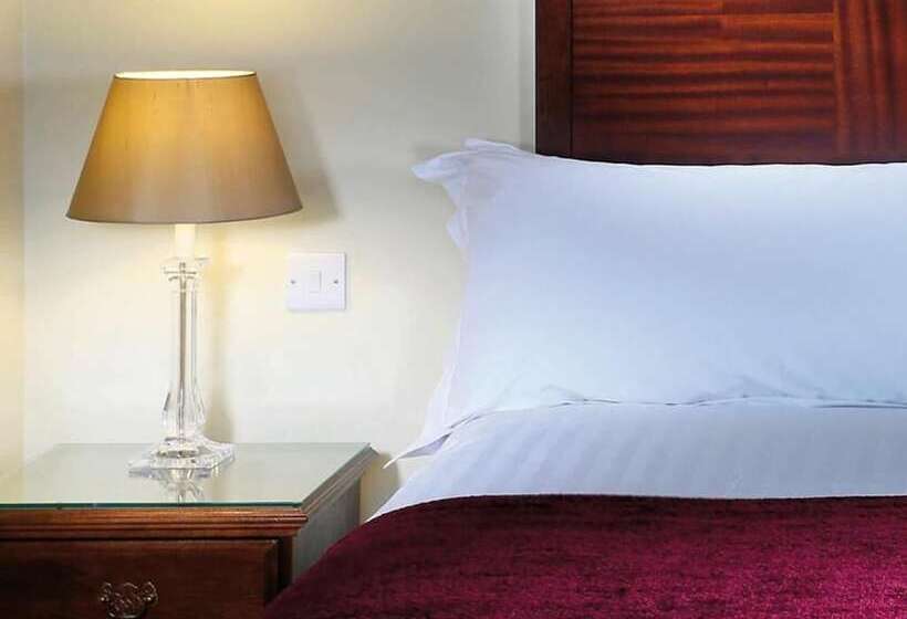 스탠다드 싱글 룸, Macdonald Alveston Manor Hotel & Spa