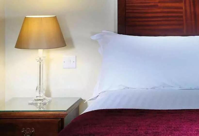 スタンダードシングルルーム, Macdonald Alveston Manor Hotel & Spa