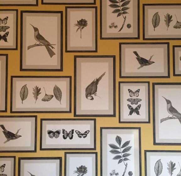 غرفة قياسية فردية, Star Castle