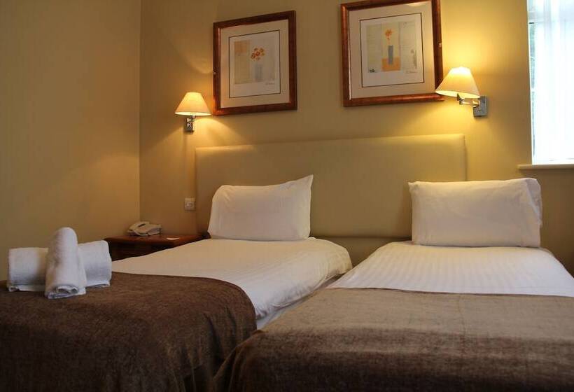 高级大房间, Oriel