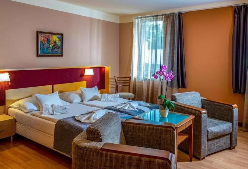 اتاق استاندارد, Dráva Hotel Thermal Resort