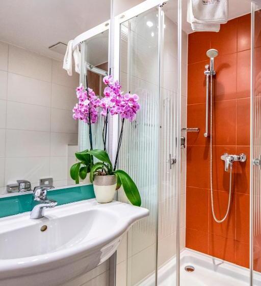 غرفة قياسية, Dráva Hotel Thermal Resort