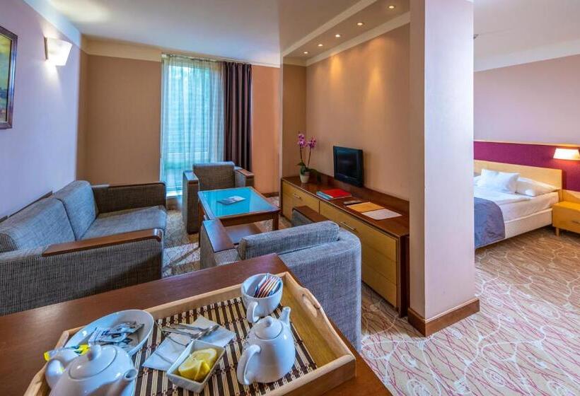 Номер Superior, Dráva Hotel Thermal Resort