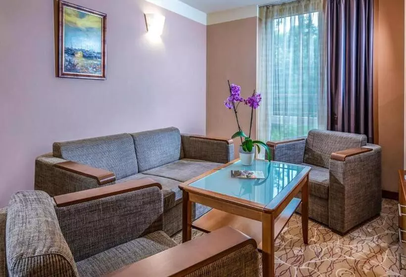 اتاق سوپریور, Dráva Hotel Thermal Resort