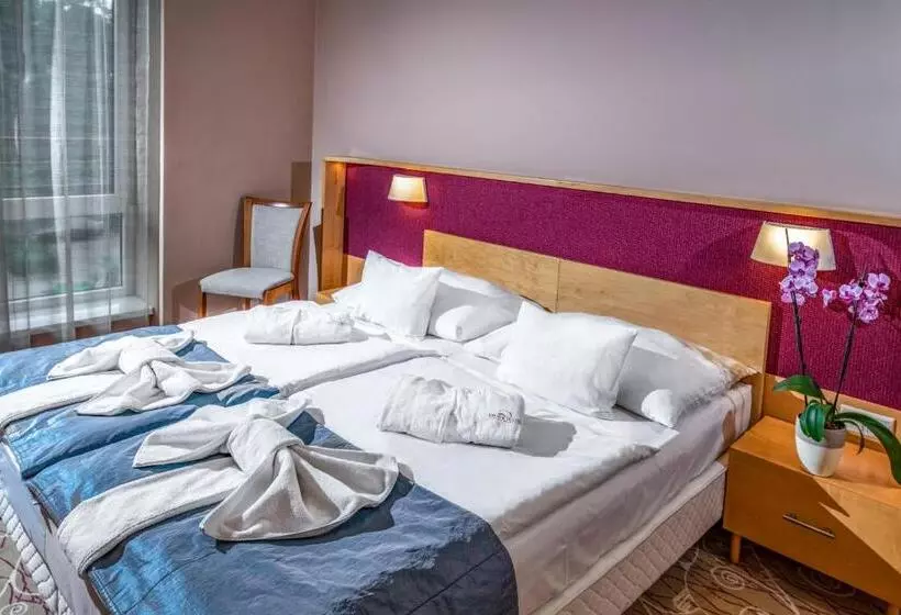 اتاق سوپریور, Dráva Hotel Thermal Resort