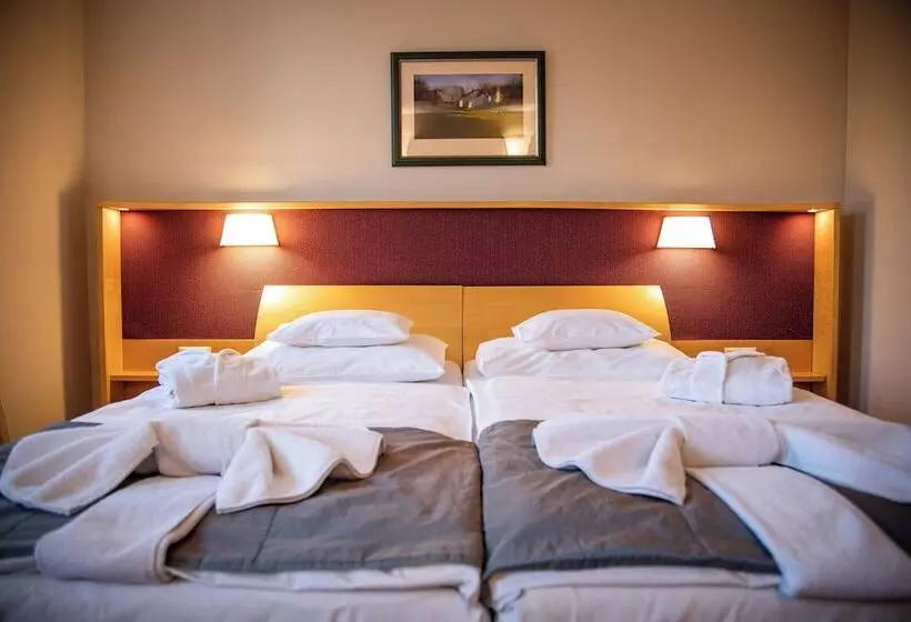 اتاق استاندارد, Dráva Hotel Thermal Resort