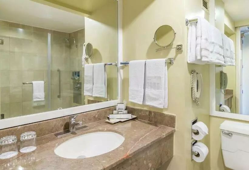 اتاق استاندارد, Barcelo Guatemala City