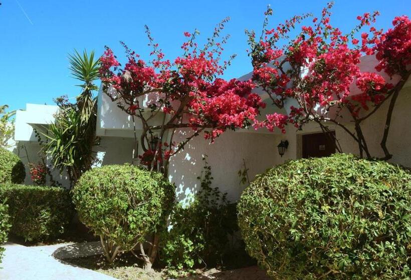 בקתה סטנדרטית עם נוף לים, Blue Horizon