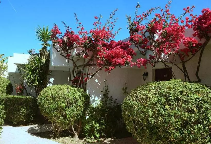 بانگلوی استاندارد با چشم‌انداز دریا, Blue Horizon