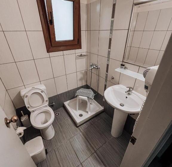 اتاق استاندارد, Eleni