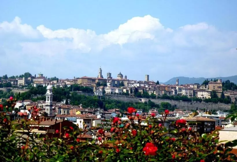 اتاق استاندارد یک نفره, Citta Dei Mille